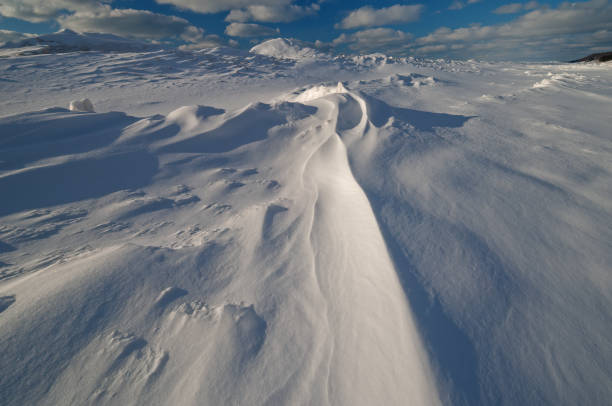 istock Winter, Saugatuck Dunes Lake Michigan 1327444571