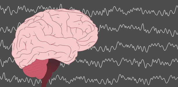 ilustrações de stock, clip art, desenhos animados e ícones de brain wave, eeg (electroencephalography) illustration - eeg epilepsy science electrode