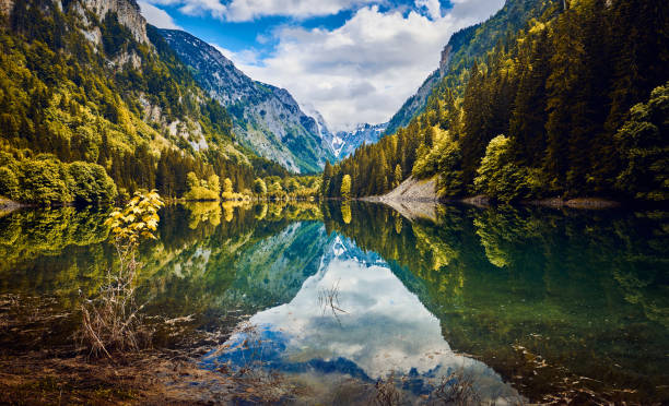 istock Mountain lake Susicko jezero 1327446521