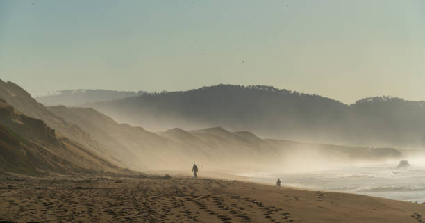 istock A Misty Morning at Fort Ord Dunes State Park 1327453552