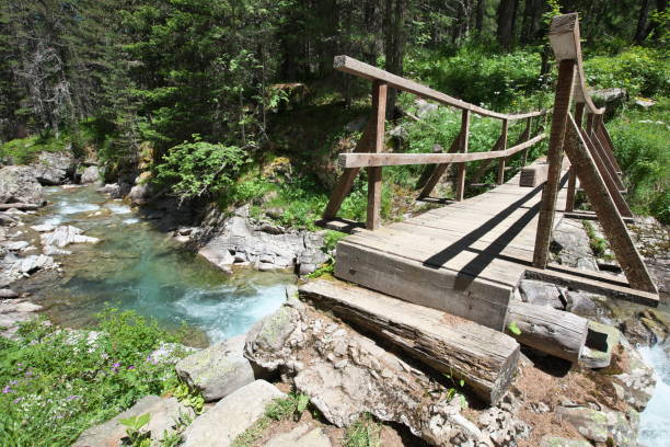 istock Footbridge of Plan Bas de Laverq 1327453918