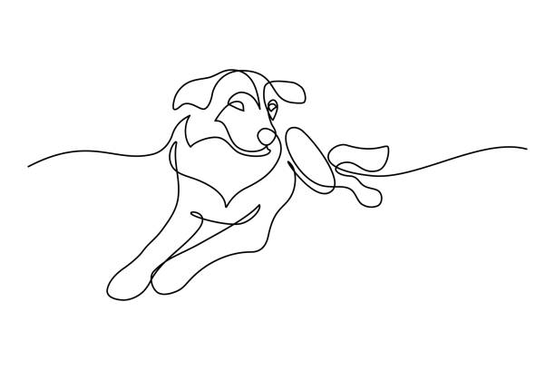 Dog lying down Dog resting in continuous line art drawing style. Cute dog pet lying down minimalist black linear sketch isolated on white background. Vector illustration dog clipart stock illustrations