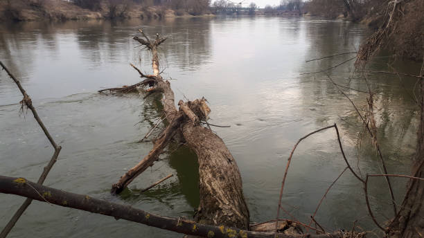 istock Countryside river scene. Outdoor river landscape in Poland spring 1327454843