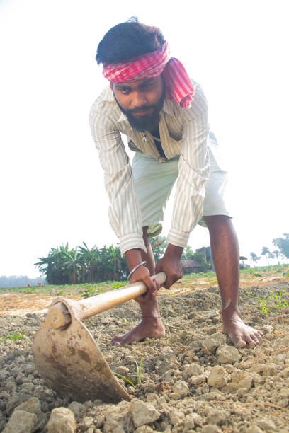 istock Rural Indian Farmer  Working in agricultural field 1327455224