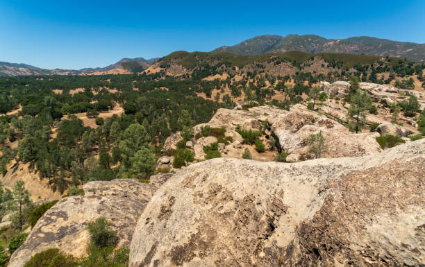 istock Los Padres National Forest, California 1327459465