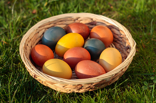 Easter eggs, coloured hen eggs in a wicker basket on green grass
