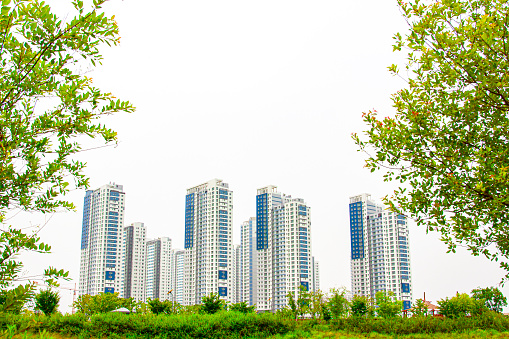 A high-rise apartment complex visible between green trees and grass.