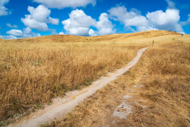 Fort Ord National Monument in California