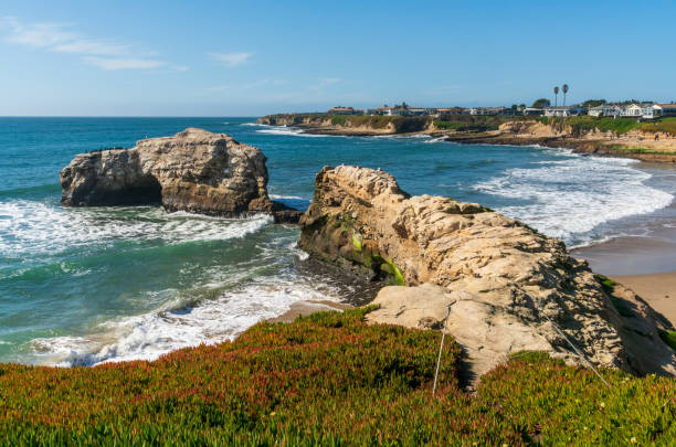 istock Natural Bridges State Beach in California 1327460652