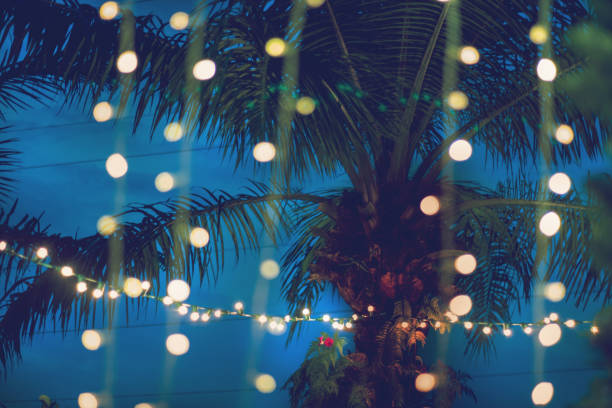 istock blurred light bokeh with coconut palm tree background on night, yellow string lights with bokeh decor in summer 1327460956