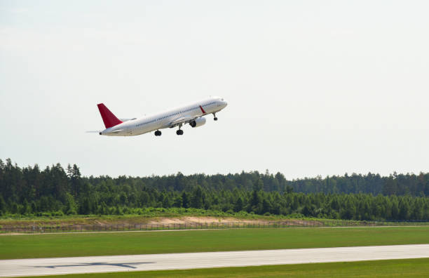 istock Passenger plane takes off from airport runway in forest 1327461027