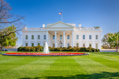 White House in the Spring with Green Grass, Trees, Red Tulips, Fountain and Clear Blue Sky, Washington DC, USA. Canon EF 24-105mm f/4L IS lens.