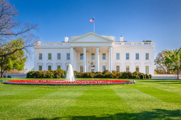 The North Portico of the White House, Washington DC, USA. White House in the Spring with Green Grass, Trees, Red Tulips, Fountain and Clear Blue Sky, Washington DC, USA. Canon EF 24-105mm f/4L IS lens. white house exterior stock pictures, royalty-free photos & images