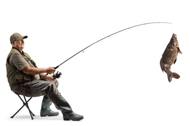 6,600+ Fishing Chair Stock Photos, Pictures & Royalty-Free Images - iStock