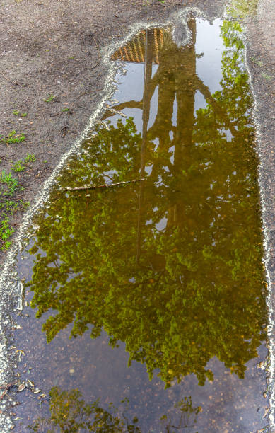 istock Reflection of the tree with green leaves in the puddle 1327465231