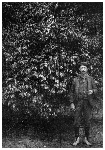 istock Antique black and white photograph: planter in Cuba 1327468793