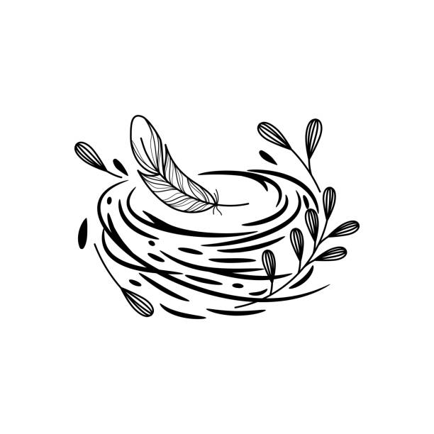 illustrazioni stock, clip art, cartoni animati e icone di tendenza di line art di nido con erba e piume. concetto di logo nest. - birds nest animal nest branch spring