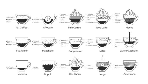 Infographic illustration set of coffee recipes Vector minimalistic line art infographic illustration set of coffee recipes isolated on white background. barista stock illustrations