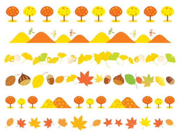 linia jesiennych liści klonu, góry, ginkgo i żołędzi. - chestnut autumn september leaf stock illustrations