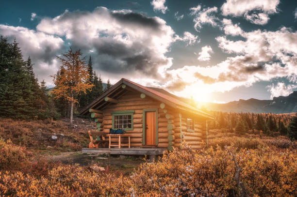 sunrise on wooden hut in autumn forest at assiniboine provincial park - cottage autumn wood woods imagens e fotografias de stock