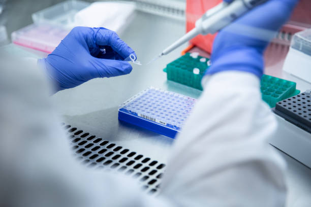 Laboratory testing for COVID-19 Lab wearing purple protective gloves tests for COVID Delta Variant chemistry lab pictures stock pictures, royalty-free photos & images
