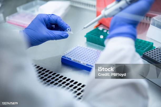 Laboratory Testing For Covid19 Stock Photo - Download Image Now - Laboratory, Coronavirus, Scientific Experiment