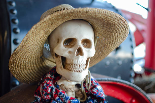 istock Halloween skeleton. A skeleton is wearing a straw hat, a Halloween decoration. Place for text 1327478330