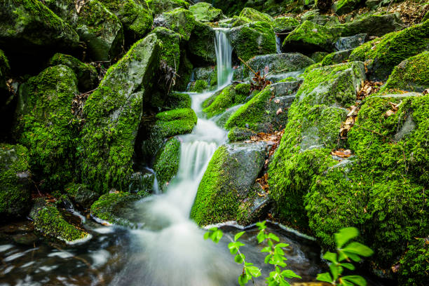 이끼 돌의 봄 폭포 - fountain water stone falling water 뉴스 사진 이미지