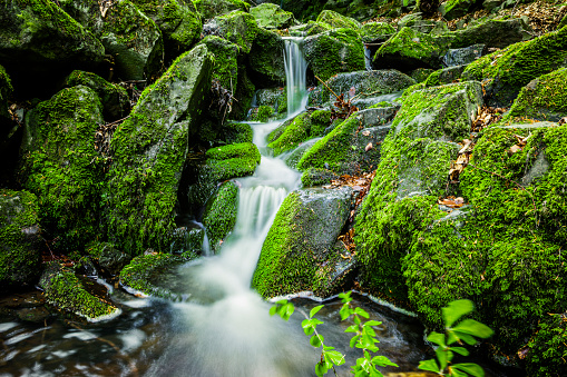 Spring waterfall in mossy stones