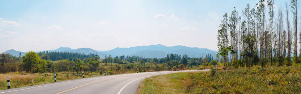 istock Rural road with tree and curve. 1327480299