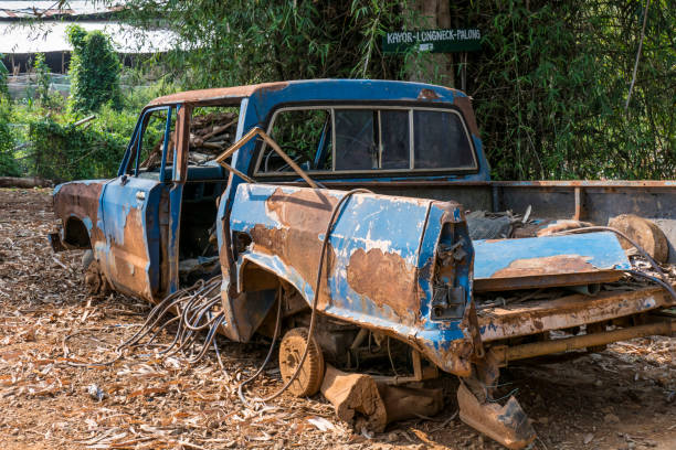 istock rusted car wreck in a Hill Tribe Village 1327481439