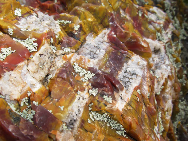 Multicolored Utah Petrified Wood, with quartz crystals in its cracks Quartz crystals which grew in the cracks of a piece of colorful fossilized wood of the Petrified Forest state park, Escalante, Utah, USA. It was part of a conifer which were caught in a flood during the upper Triassic epoch. During the petrifying process the cellulous were replaced by Bentonite clays, derived from volcanic ash, which gave it its spectacular colors. chinle formation stock pictures, royalty-free photos & images