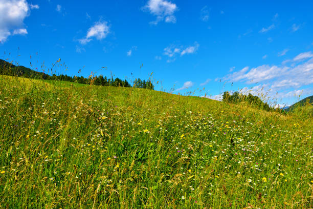 istock val di funes south tyrol Italy 1327482001