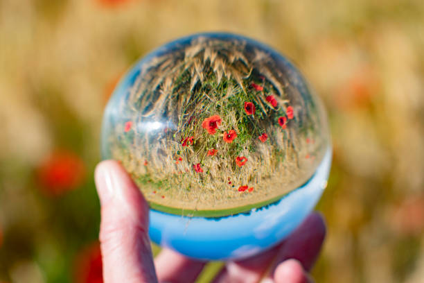 istock Nature outside and inside at glassbowl making a room for reflection 1327484489