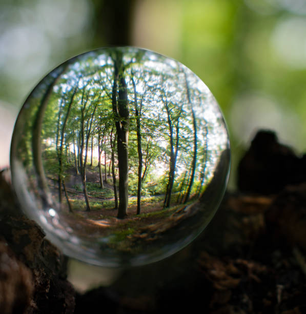 istock Nature outside and inside at glassbowl making a room for reflection 1327484544