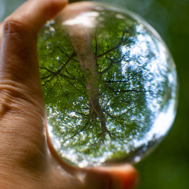 istock Nature outside and inside at glassbowl making a room for reflection 1327484615