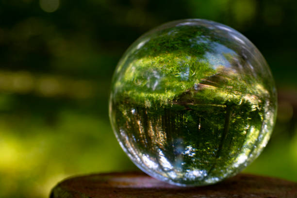 istock Nature outside and inside at glassbowl making a room for reflection 1327484629