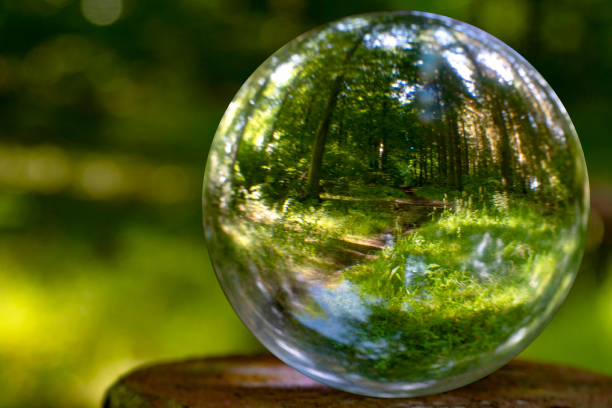Nature outside and inside at glassbowl making a room for reflection