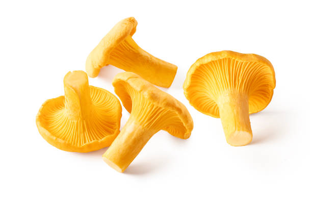 istock Raw fresh chanterelle mushrooms isolated on white background 1327484710
