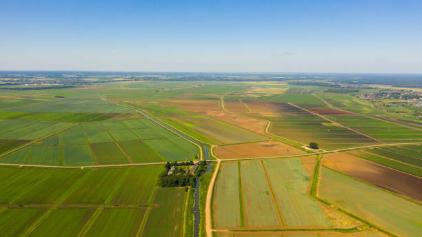 istock Agricultural land with green crops from above 1327486684