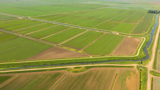 istock Agricultural land with green crops from above 1327486797