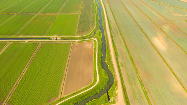 istock Agricultural land with green crops from above 1327486878