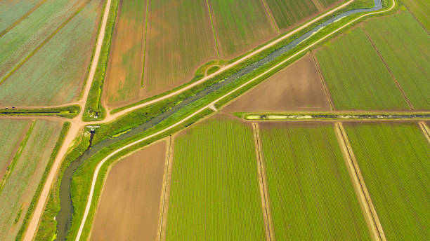 istock Agricultural land with green crops from above 1327487091