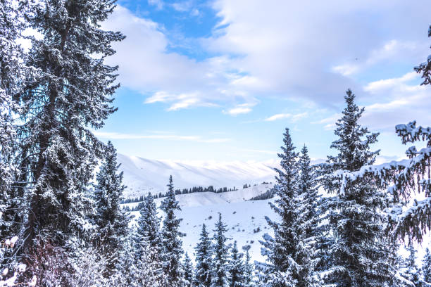 istock Winter landscape with snow covered mountains and trees 1327487725
