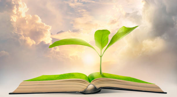 istock Tree grows up from the book with the dramatic sky background, the concept as opening paper will see knowledge of the world. 1327487851