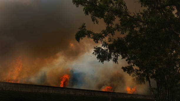 istock fire in the forest a lot of smoke 1327487856