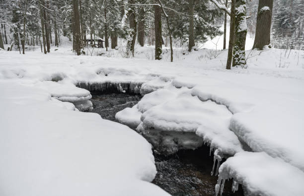 Winter Landscape and Snow. Frozen.
