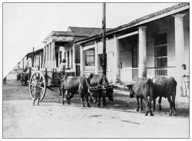 istock Antique black and white photograph: Village in Cuba 1327488166