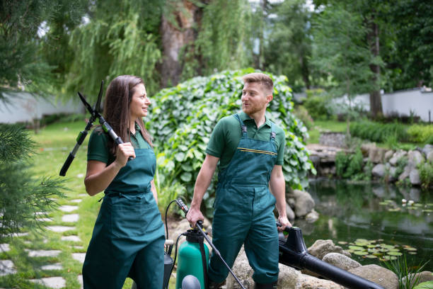 Professional Landscaping Team Working In Garden. Man and woman are walking in garden and carrying gardening equipment. gardening stock pictures, royalty-free photos & images