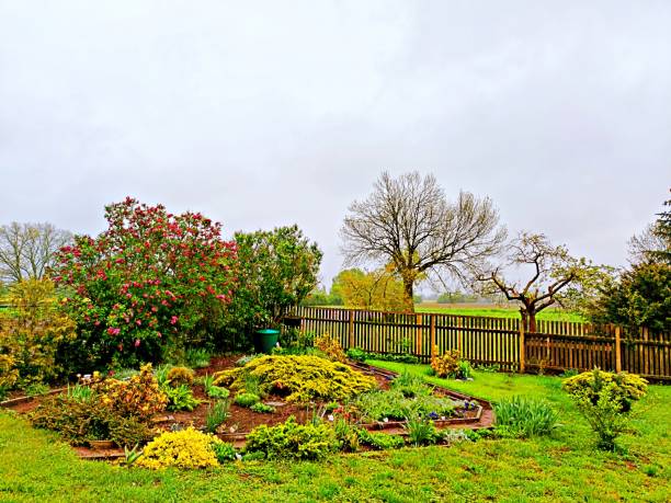 In rainy weather